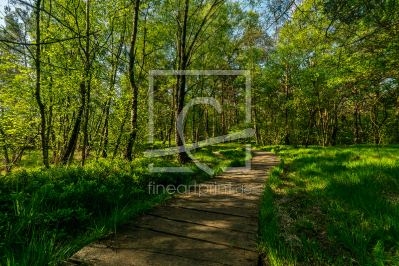 frei wählbarer Bildausschnitt für Ihr Bild auf Fensterfolie