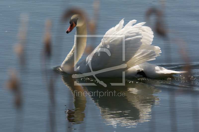 frei wählbarer Bildausschnitt für Ihr Bild auf Fensterfolie