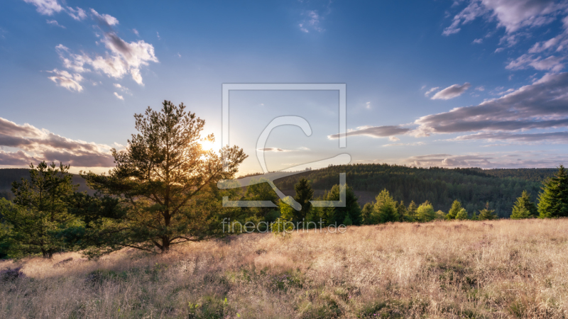 frei wählbarer Bildausschnitt für Ihr Bild auf Fensterfolie