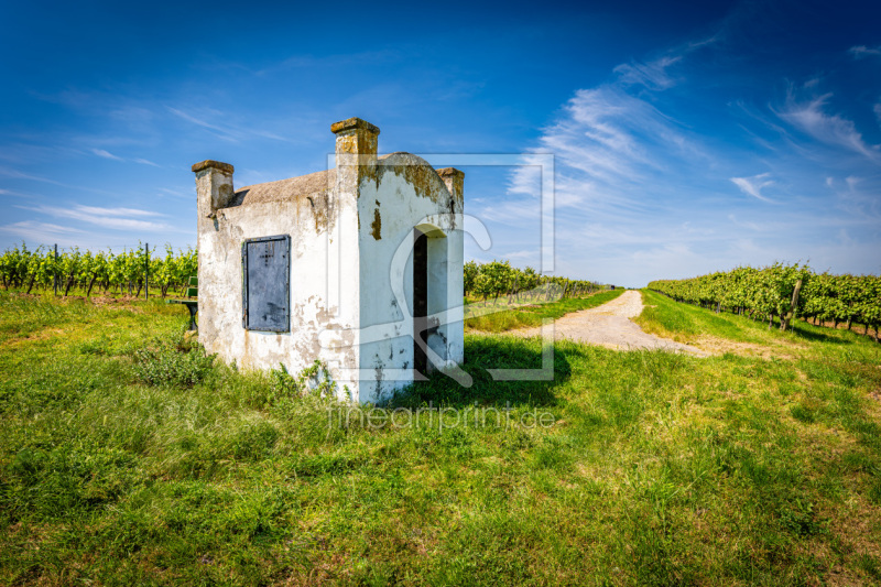 frei wählbarer Bildausschnitt für Ihr Bild auf Fensterfolie