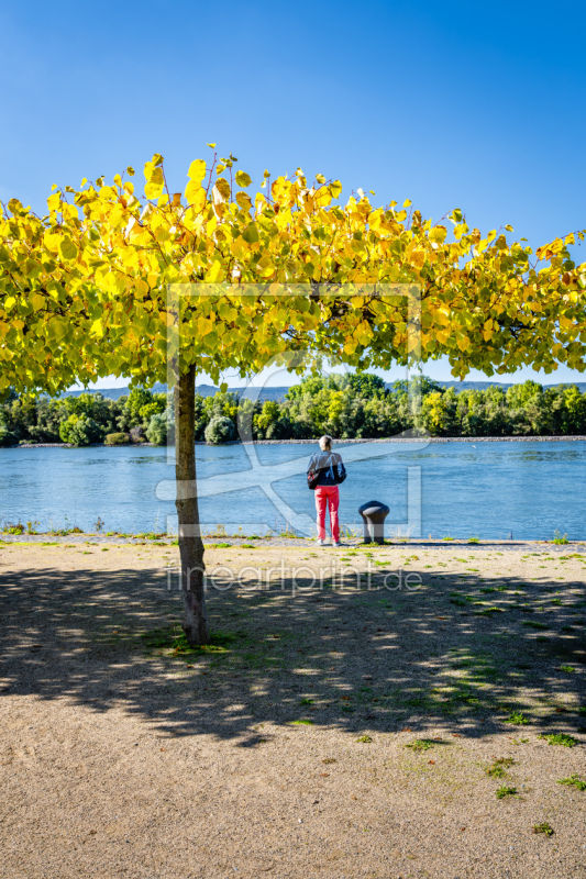 frei wählbarer Bildausschnitt für Ihr Bild auf Fensterfolie