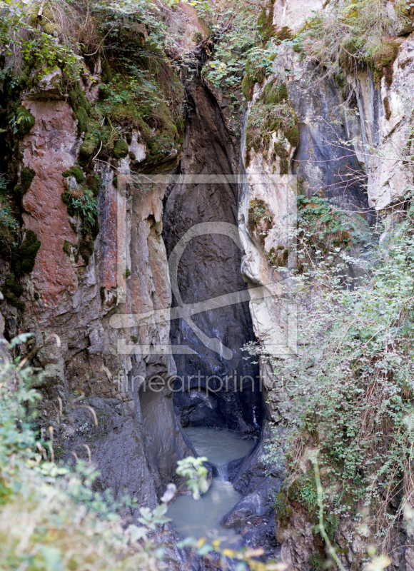 frei wählbarer Bildausschnitt für Ihr Bild auf Fensterfolie