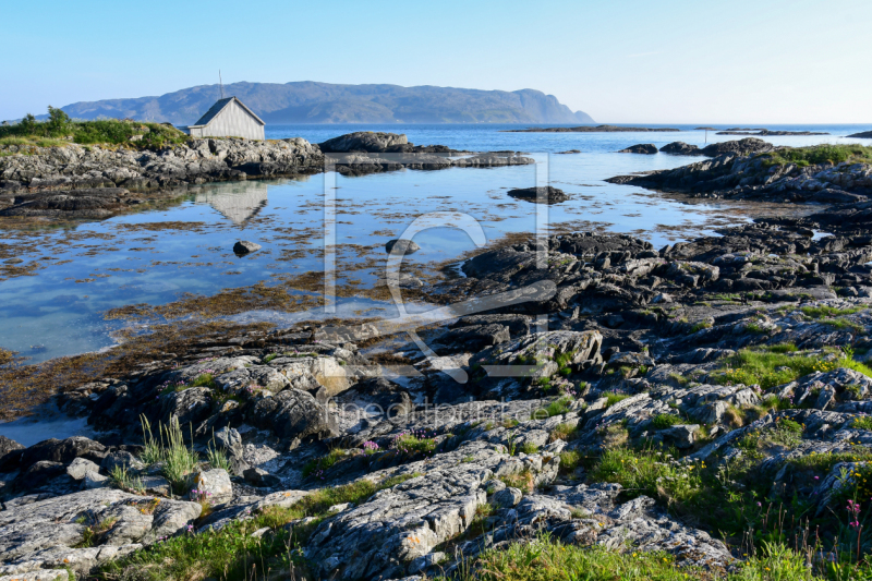 frei wählbarer Bildausschnitt für Ihr Bild auf Fensterfolie