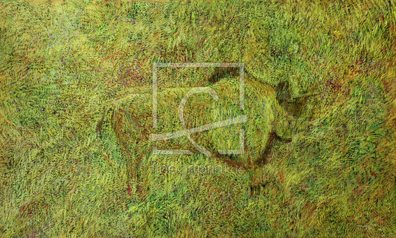 frei wählbarer Bildausschnitt für Ihr Bild auf Fensterfolie