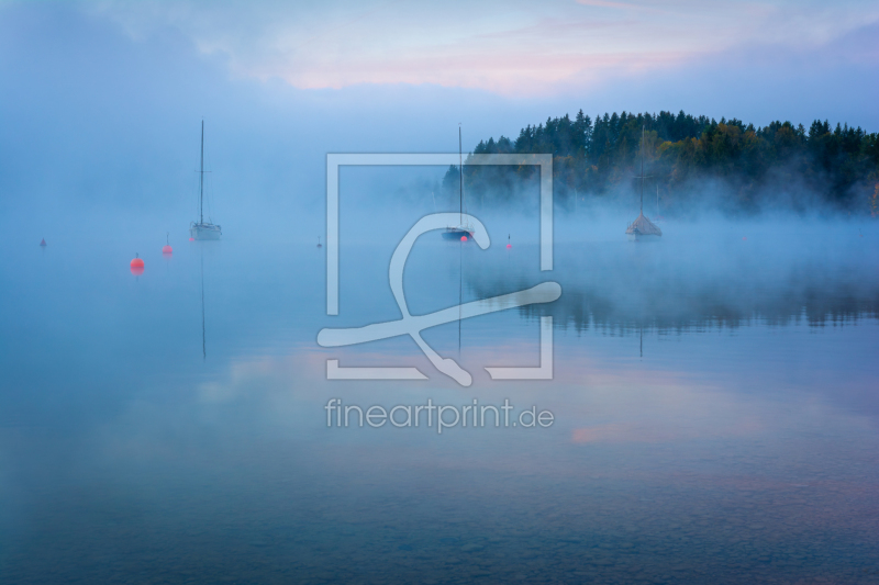 frei wählbarer Bildausschnitt für Ihr Bild auf Fensterfolie