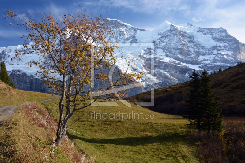 frei wählbarer Bildausschnitt für Ihr Bild auf Fensterfolie