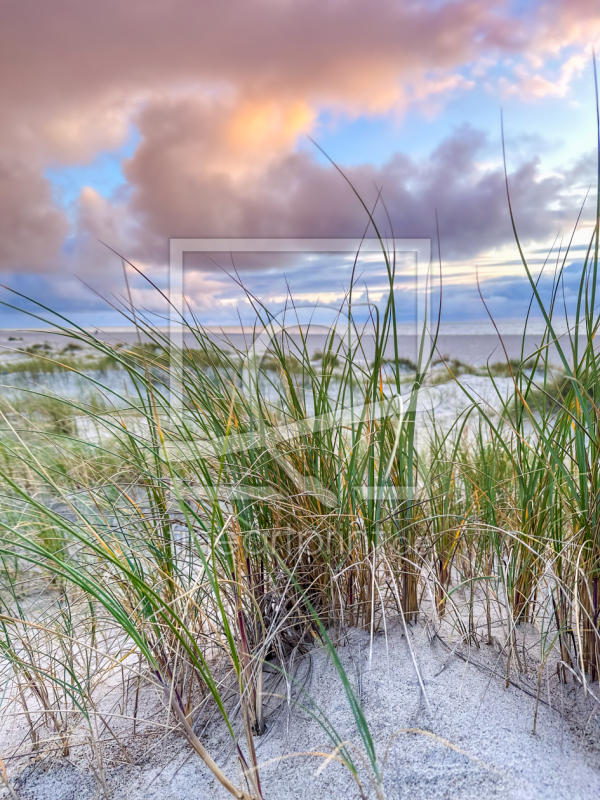 frei wählbarer Bildausschnitt für Ihr Bild auf Fensterfolie