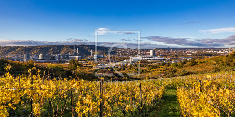frei wählbarer Bildausschnitt für Ihr Bild auf Fensterfolie