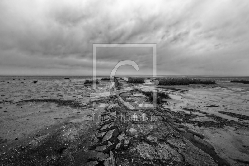 frei wählbarer Bildausschnitt für Ihr Bild auf Fensterfolie