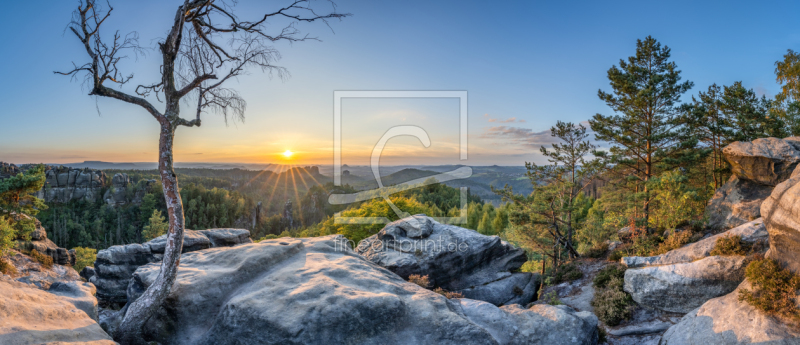 frei wählbarer Bildausschnitt für Ihr Bild auf Fensterfolie