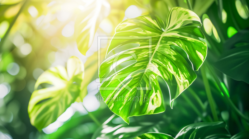 frei wählbarer Bildausschnitt für Ihr Bild auf Fensterfolie