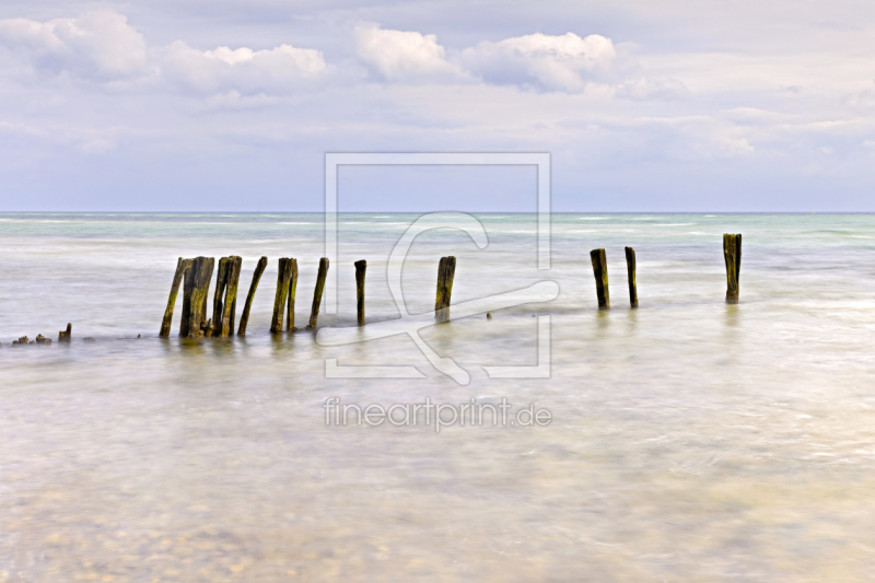 frei wählbarer Bildausschnitt für Ihr Bild auf Fensterfolie