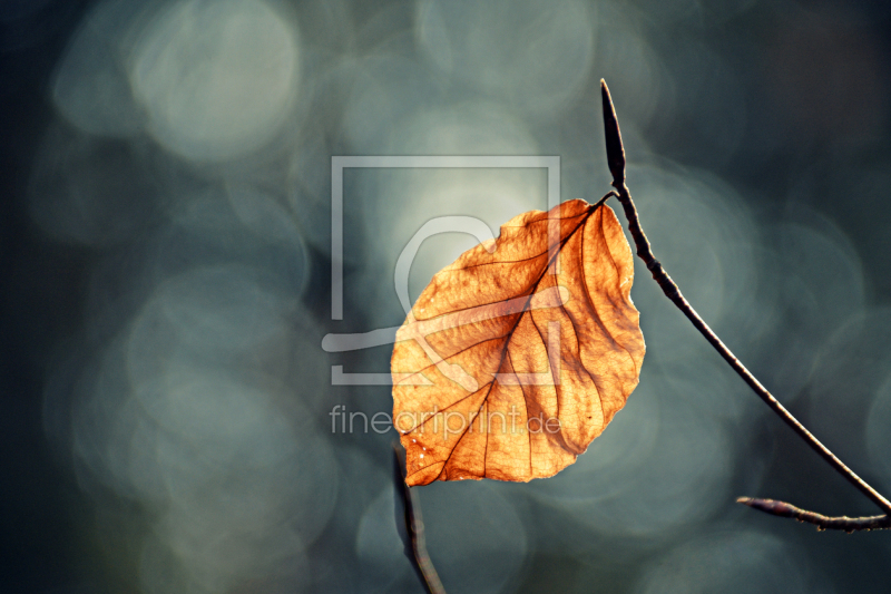 frei wählbarer Bildausschnitt für Ihr Bild auf Fensterfolie