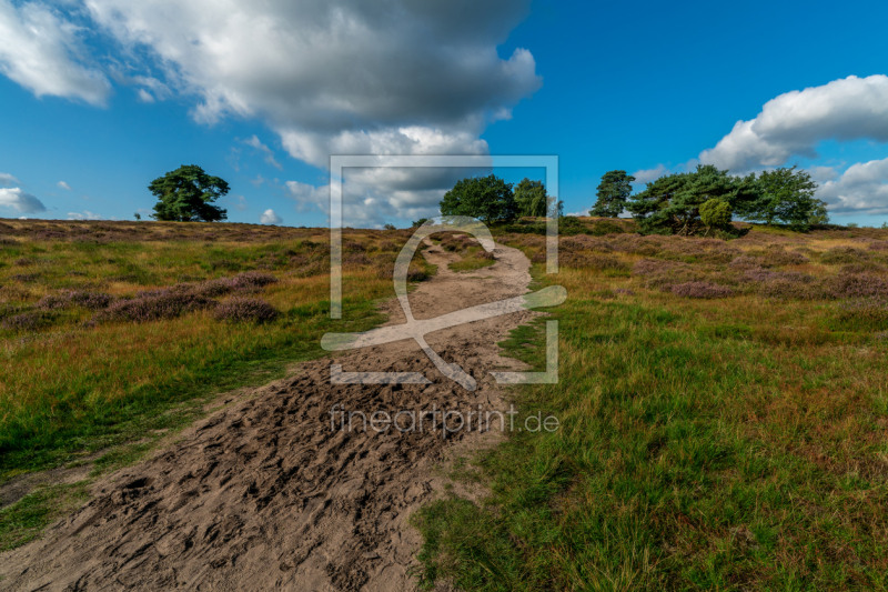 frei wählbarer Bildausschnitt für Ihr Bild auf Fensterfolie