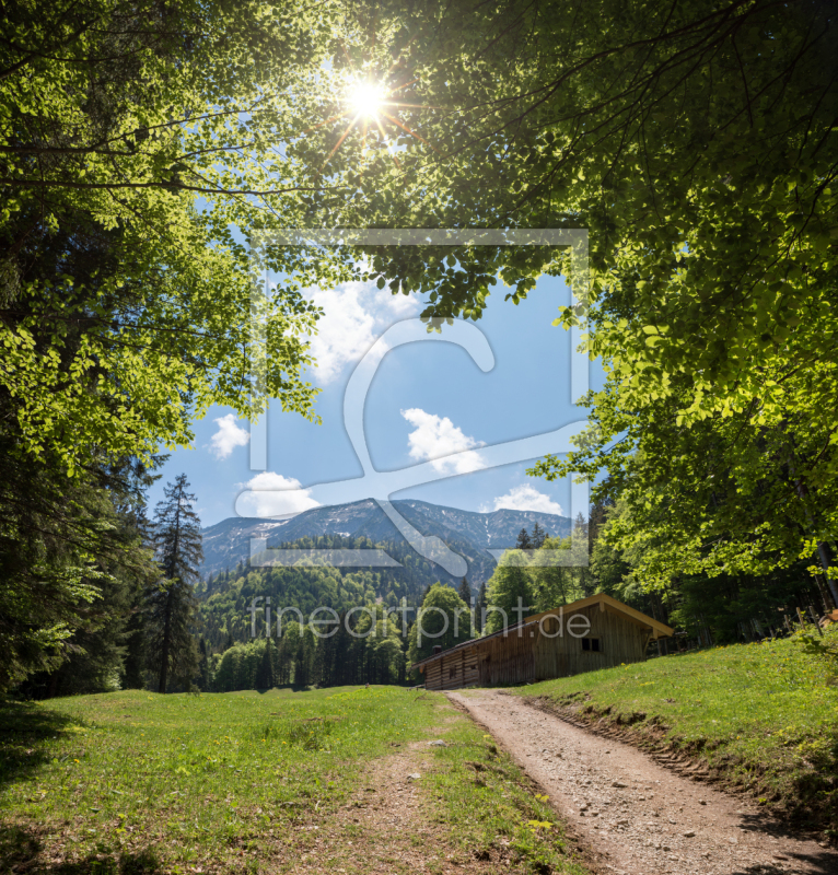 frei wählbarer Bildausschnitt für Ihr Bild auf Fensterfolie