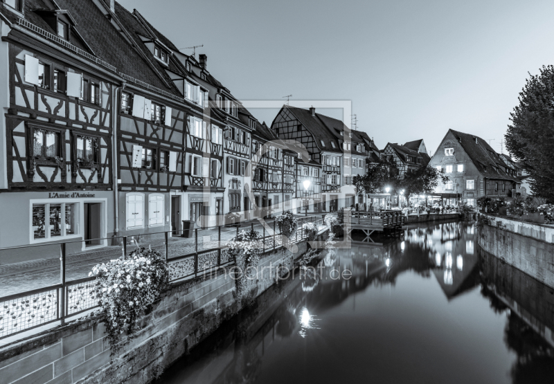frei wählbarer Bildausschnitt für Ihr Bild auf Fensterfolie