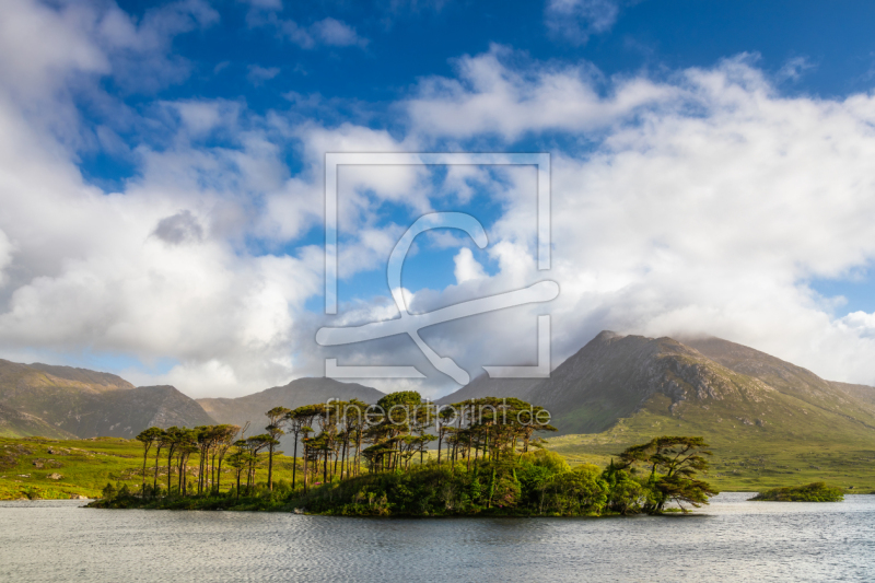 frei wählbarer Bildausschnitt für Ihr Bild auf Fensterfolie