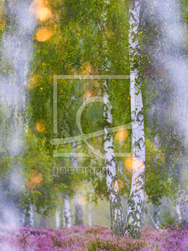 frei wählbarer Bildausschnitt für Ihr Bild auf Fensterfolie