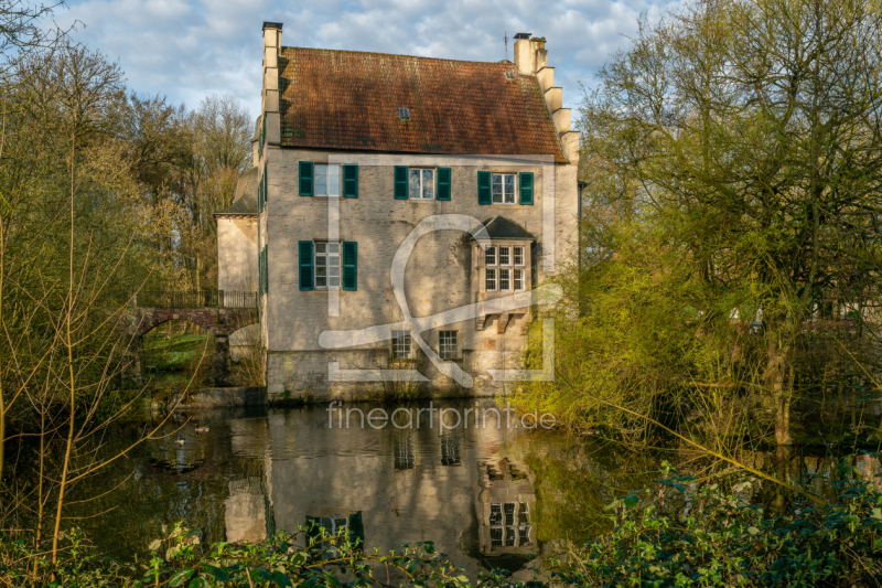 frei wählbarer Bildausschnitt für Ihr Bild auf Fensterfolie