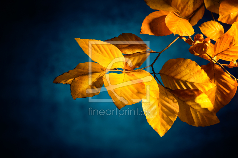 frei wählbarer Bildausschnitt für Ihr Bild auf Fensterfolie