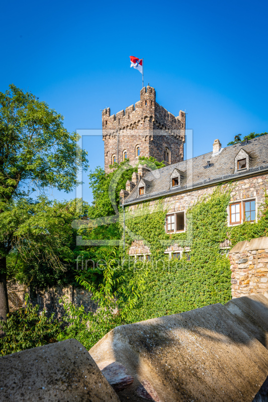 frei wählbarer Bildausschnitt für Ihr Bild auf Fensterfolie