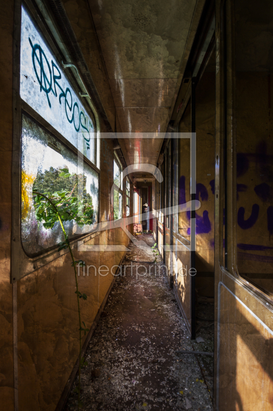 frei wählbarer Bildausschnitt für Ihr Bild auf Fensterfolie
