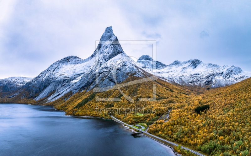frei wählbarer Bildausschnitt für Ihr Bild auf Fensterfolie