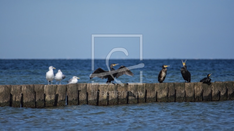 frei wählbarer Bildausschnitt für Ihr Bild auf Fensterfolie
