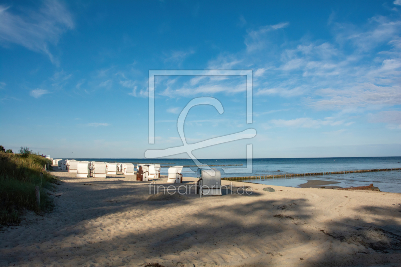 frei wählbarer Bildausschnitt für Ihr Bild auf Fensterfolie