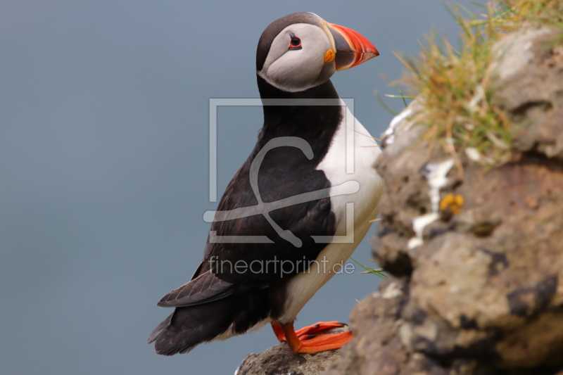 frei wählbarer Bildausschnitt für Ihr Bild auf Fensterfolie