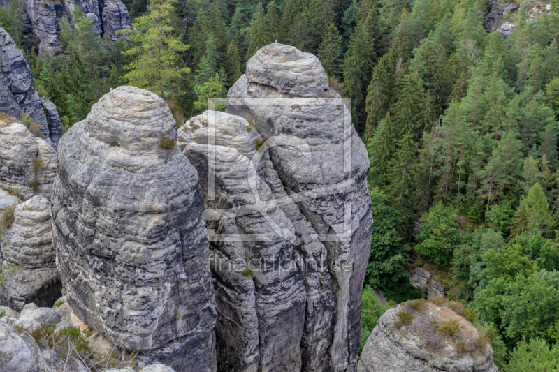 frei wählbarer Bildausschnitt für Ihr Bild auf Fensterfolie