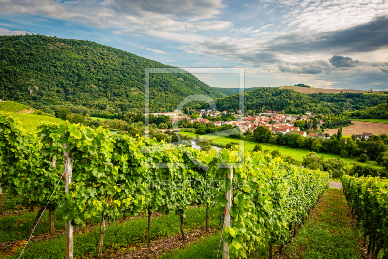 frei wählbarer Bildausschnitt für Ihr Bild auf Fensterfolie