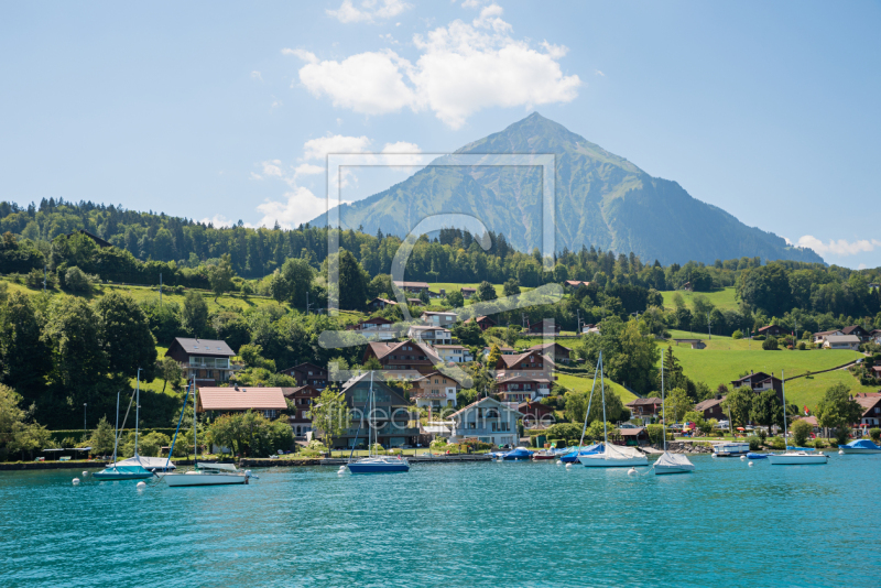 frei wählbarer Bildausschnitt für Ihr Bild auf Fensterfolie