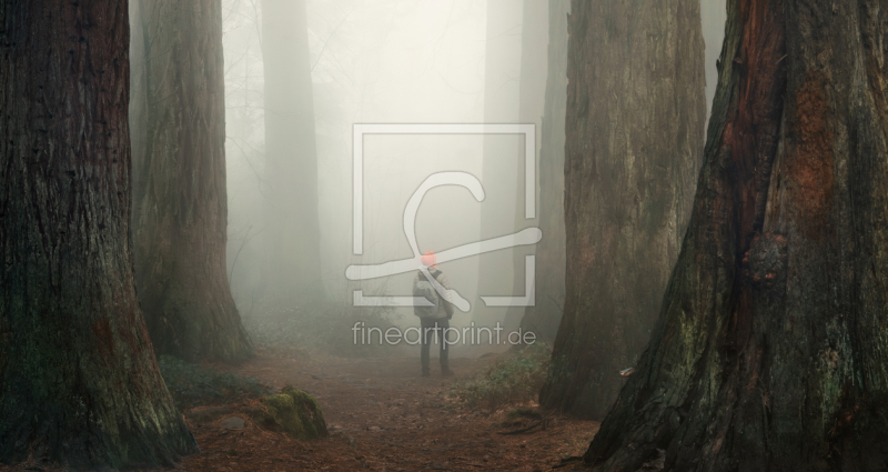 frei wählbarer Bildausschnitt für Ihr Bild auf Fensterfolie