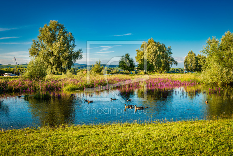 frei wählbarer Bildausschnitt für Ihr Bild auf Fensterfolie