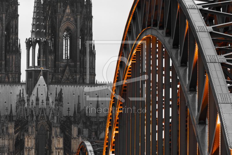 frei wählbarer Bildausschnitt für Ihr Bild auf Fensterfolie