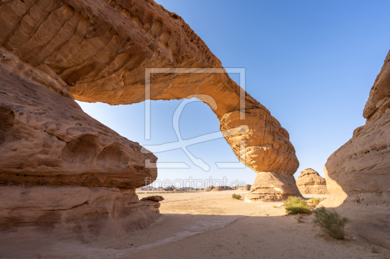 frei wählbarer Bildausschnitt für Ihr Bild auf Fensterfolie