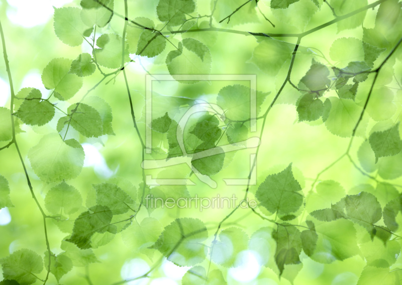 frei wählbarer Bildausschnitt für Ihr Bild auf Fensterfolie