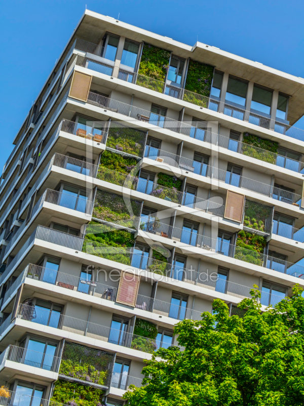 frei wählbarer Bildausschnitt für Ihr Bild auf Fensterfolie