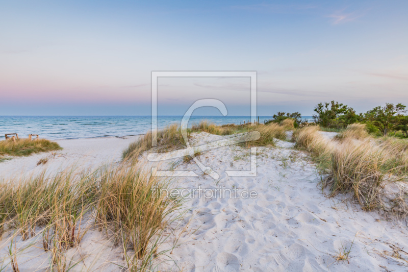 frei wählbarer Bildausschnitt für Ihr Bild auf Fensterfolie