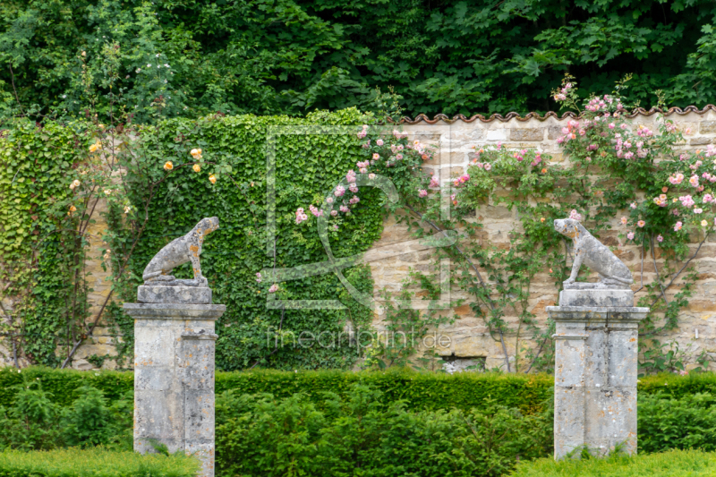 frei wählbarer Bildausschnitt für Ihr Bild auf Fensterfolie