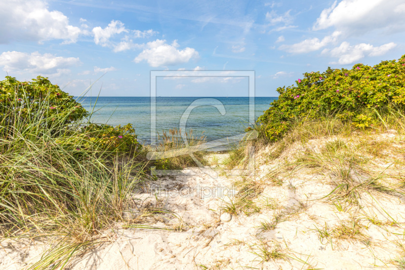frei wählbarer Bildausschnitt für Ihr Bild auf Fensterfolie