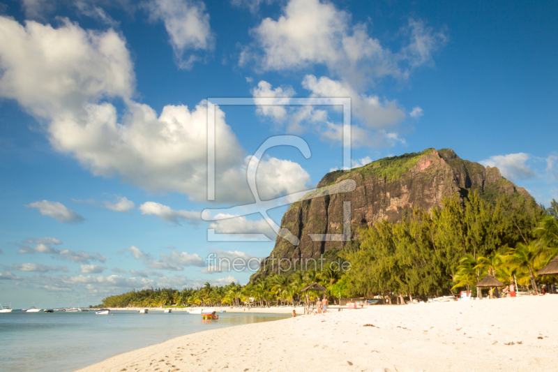 frei wählbarer Bildausschnitt für Ihr Bild auf Fensterfolie