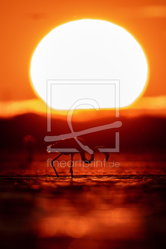 frei wählbarer Bildausschnitt für Ihr Bild auf Fensterfolie