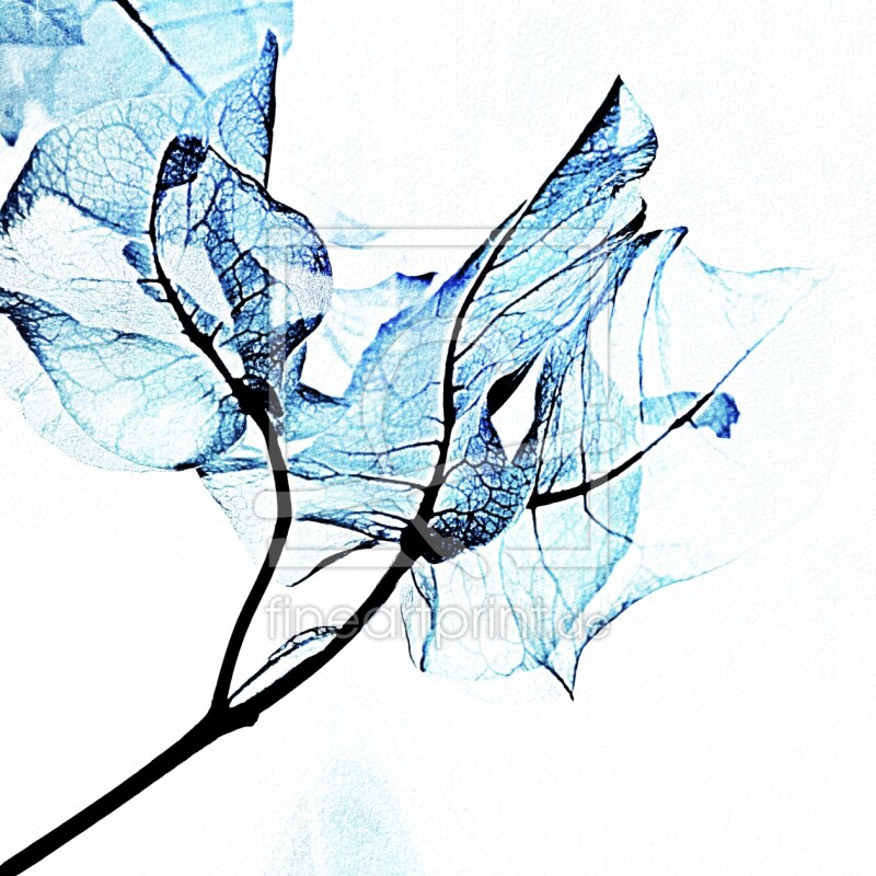 frei wählbarer Bildausschnitt für Ihr Bild auf Fensterfolie