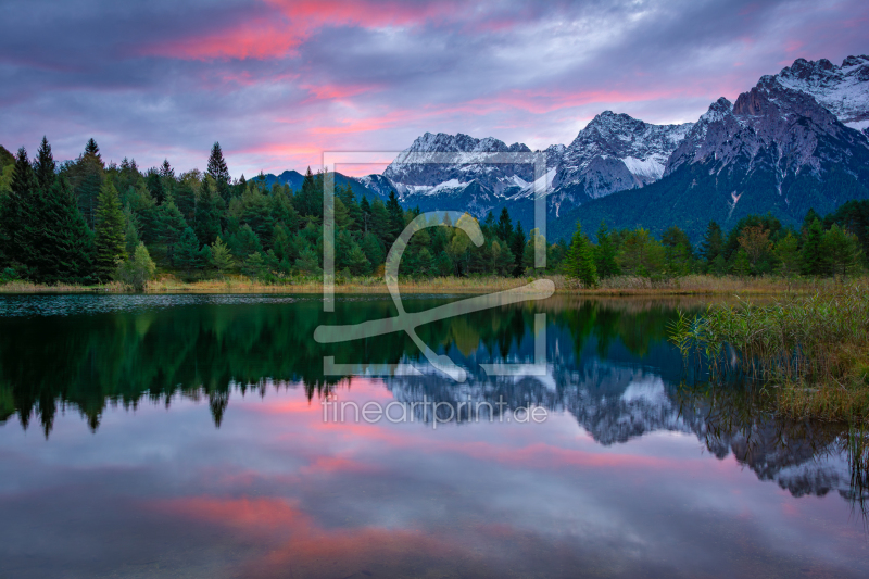 frei wählbarer Bildausschnitt für Ihr Bild auf Fensterfolie