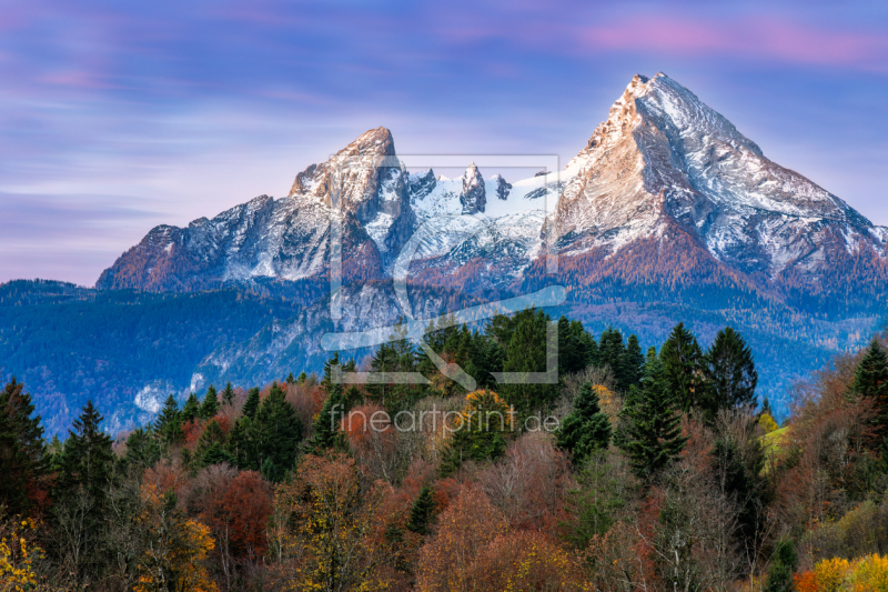 frei wählbarer Bildausschnitt für Ihr Bild auf Fensterfolie