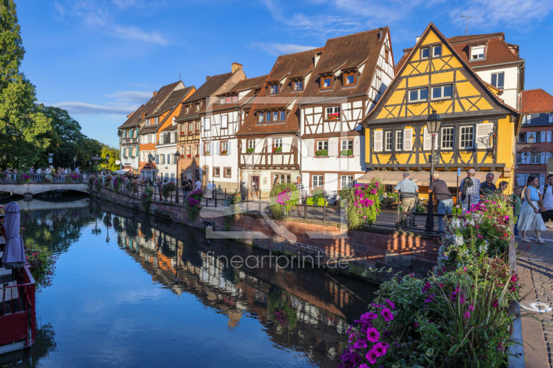 frei wählbarer Bildausschnitt für Ihr Bild auf Fensterfolie