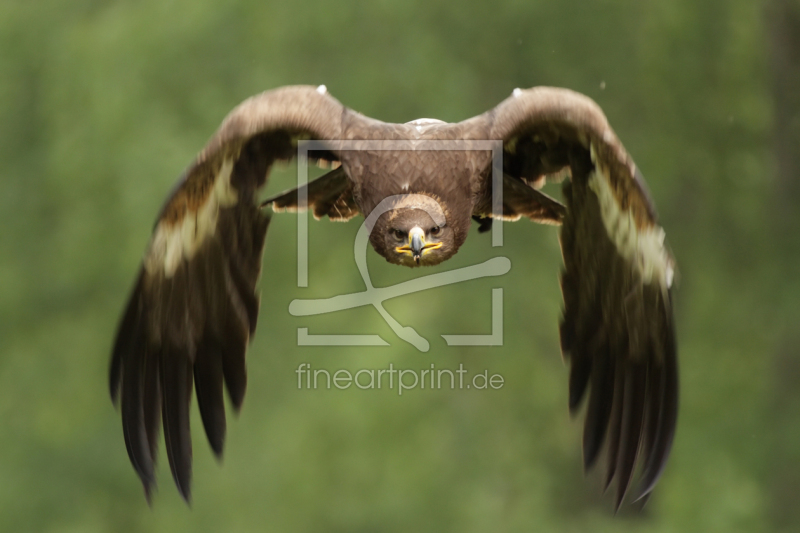 frei wählbarer Bildausschnitt für Ihr Bild auf Fensterfolie