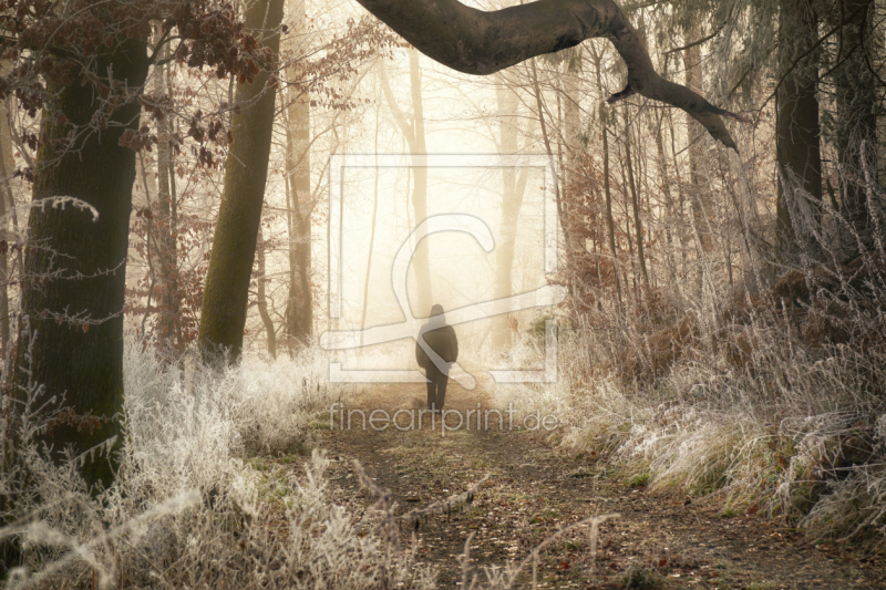 frei wählbarer Bildausschnitt für Ihr Bild auf Fensterfolie